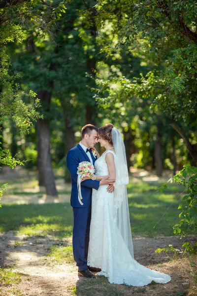 Noiva e noivo em seu dia de casamento — Fotografia de Stock