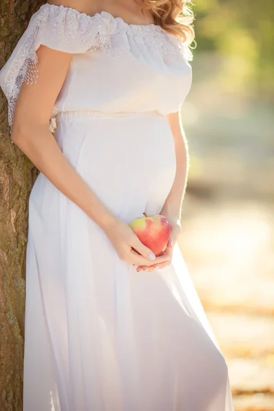 Pregnant woman red apple in hands — Stock Photo, Image