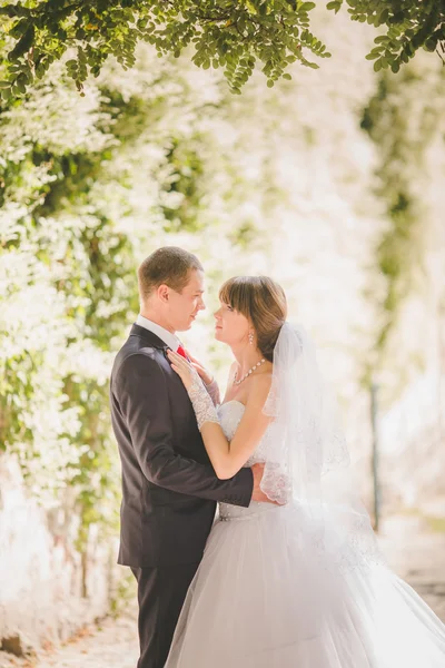 Novia y novio en el día de su boda — Foto de Stock