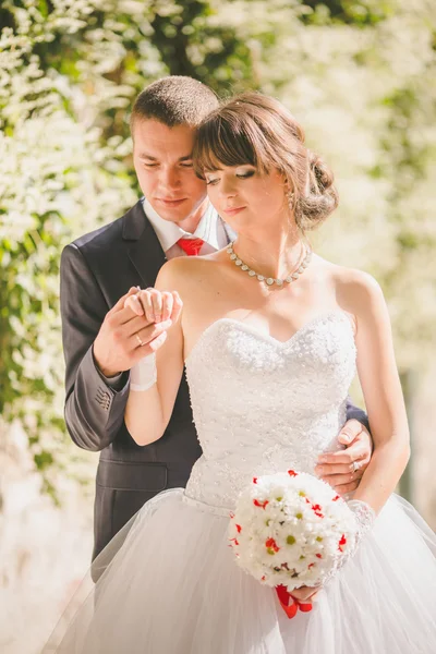 Bride and groom on their wedding day — Stock Photo, Image