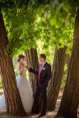 Gelin ve damat düğün gününde