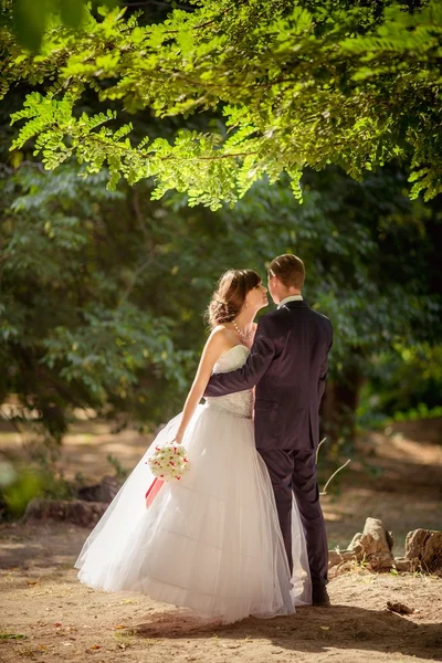 Noiva e noivo em seu dia de casamento — Fotografia de Stock