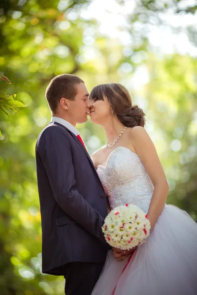 Braut und Bräutigam am Hochzeitstag — Stockfoto