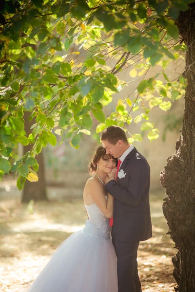 Noiva e noivo em seu dia de casamento — Fotografia de Stock