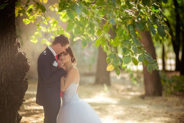 Bride and groom on their wedding day — Stock Photo, Image