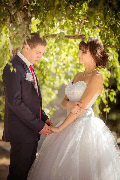 Braut und Bräutigam am Hochzeitstag — Stockfoto