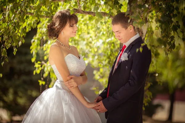 Noiva e noivo em seu dia de casamento — Fotografia de Stock