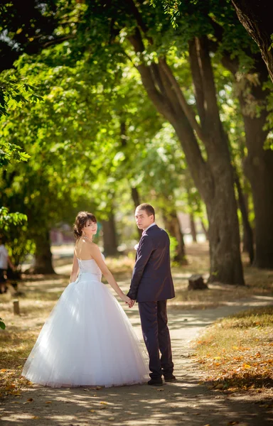 Noiva e noivo em seu dia de casamento — Fotografia de Stock