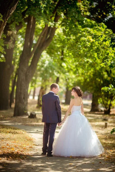 Bride and groom on their wedding day — Stock Photo, Image