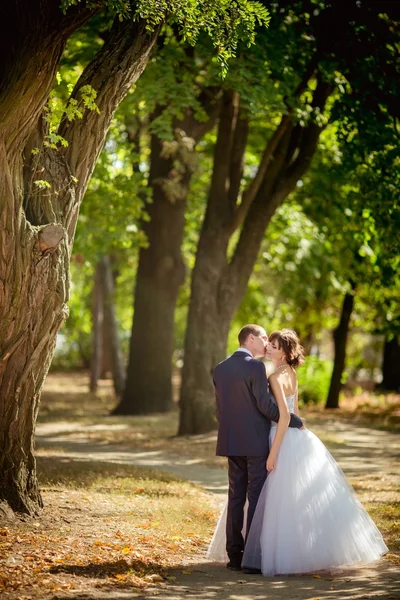 Bruid en bruidegom op hun trouwdag — Stockfoto