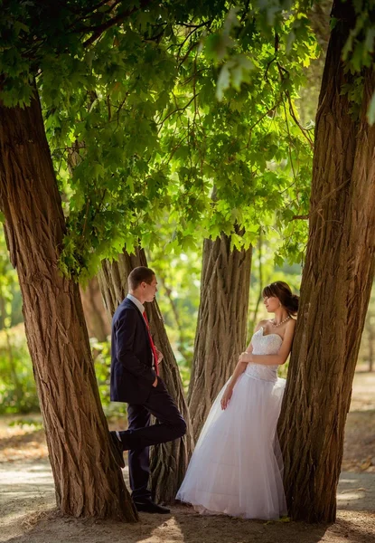 Braut und Bräutigam am Hochzeitstag — Stockfoto