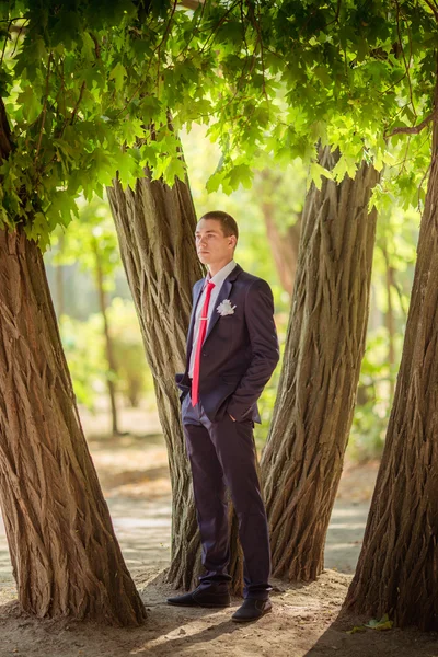 Bräutigam am Hochzeitstag — Stockfoto