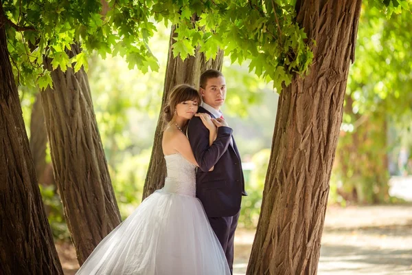 Braut und Bräutigam am Hochzeitstag — Stockfoto