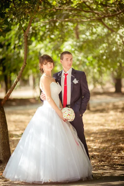 Bruid en bruidegom op hun trouwdag — Stockfoto