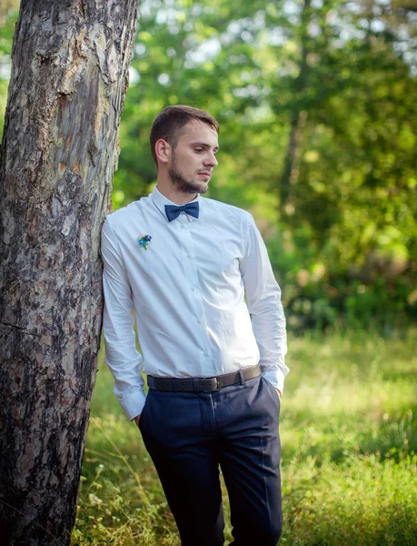 Groom on wedding day — Stock Photo, Image