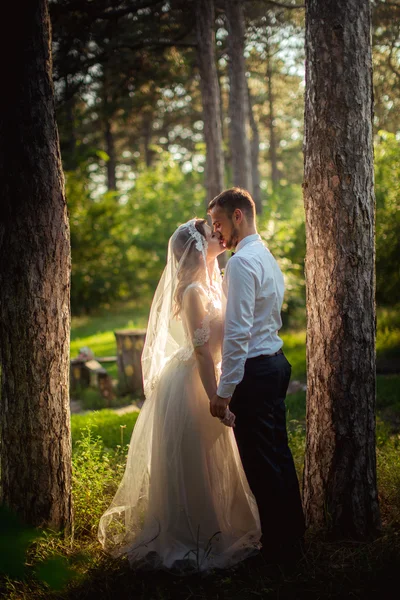 Brud och brudgum på deras bröllopsdag — Stockfoto