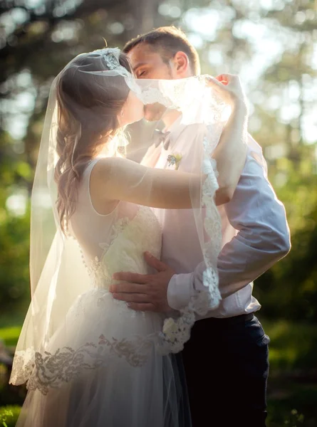 Gelin ve damat düğün gününde — Stok fotoğraf