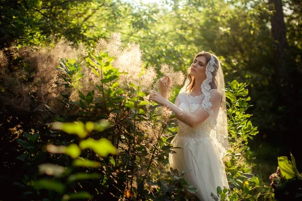 Nevěsta v bílých šatech v zahradě — Stock fotografie