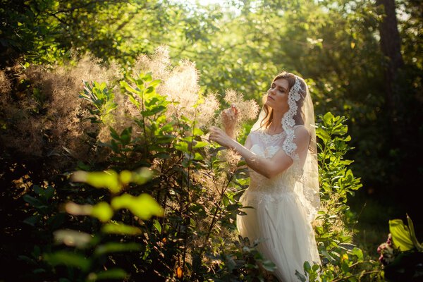 Beautiful bride in white dress in green garden