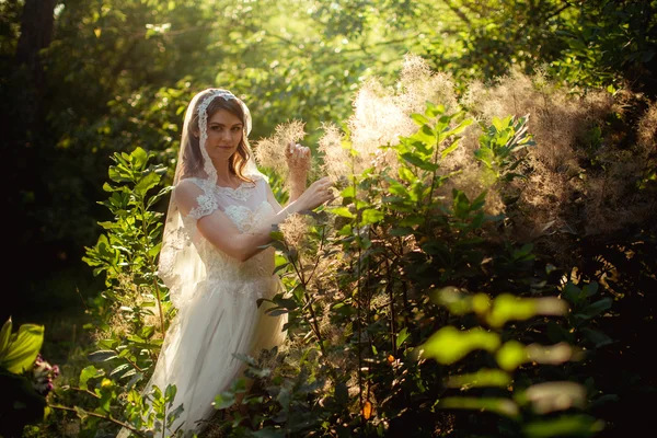 Невеста в белом платье в саду — стоковое фото