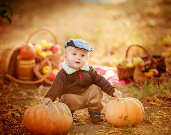 Little boy at autumn park — Stock Photo, Image