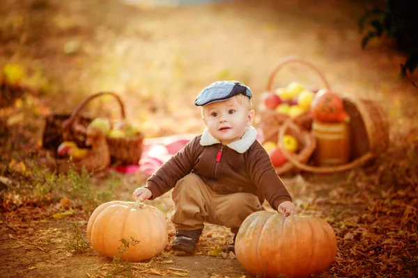 Little boy at autumn park — Stock Photo, Image