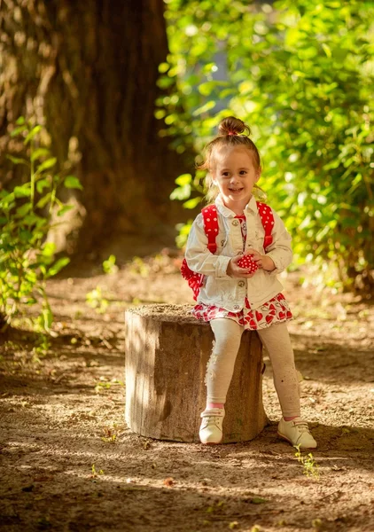 Милая маленькая девочка в платье на открытом воздухе — стоковое фото