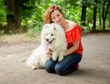 Samoyed köpek doğurmak parkta kadınla