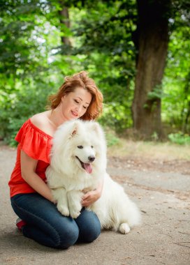 Samoyed köpek doğurmak parkta kadınla
