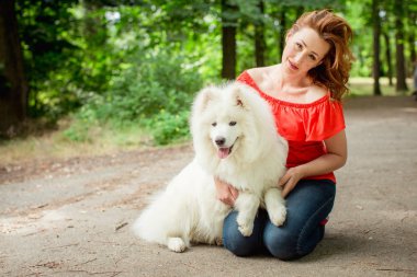 Samoyed köpek doğurmak parkta kadınla