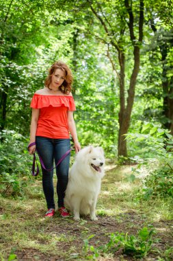Samoyed köpek doğurmak parkta kadınla