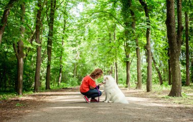Samoyed köpek doğurmak parkta kadınla