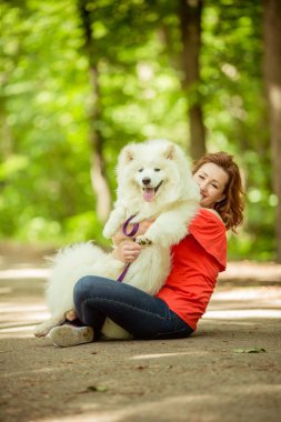 Samoyed köpek doğurmak parkta kadınla