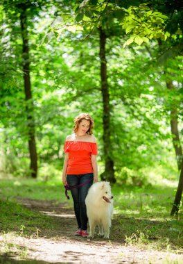 Parkta Samoyed köpek ile yürüyen kadın 