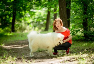 Samoyed köpek doğurmak parkta kadınla
