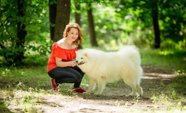 Samoyed köpek doğurmak parkta kadınla