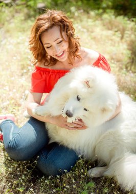 Samoyed köpek doğurmak parkta kadınla