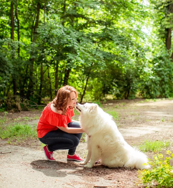 Mujer con raza de perro Samoyedo en el parque —  Fotos de Stock