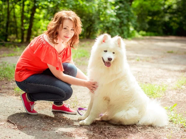 Samoyed köpek doğurmak parkta kadınla
