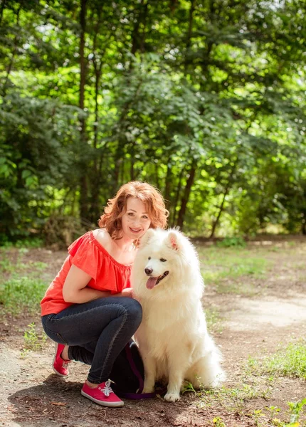 Donna con cane di razza Samoyed nel parco — Foto Stock