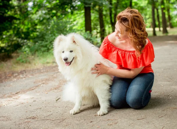 Mujer con raza de perro Samoyedo en el parque —  Fotos de Stock