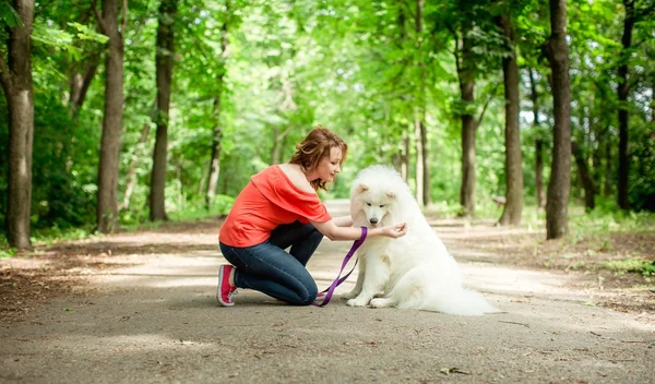 公園でのサモエド犬を持つ女性 — ストック写真