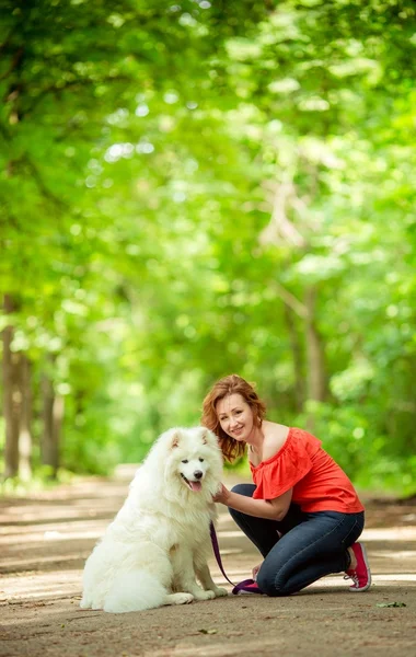 Samoyed köpek doğurmak parkta kadınla — Stok fotoğraf