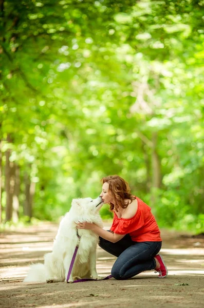 Samoyed köpek doğurmak parkta kadınla — Stok fotoğraf
