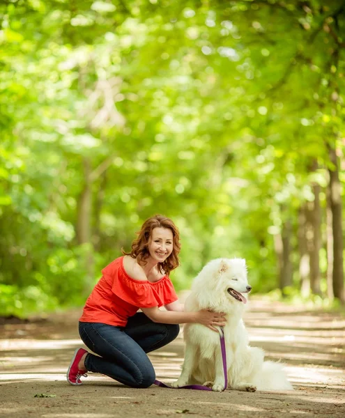 萨摩耶德犬品种在公园里的女人 — 图库照片