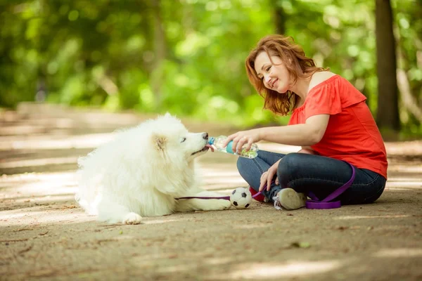 Γυναίκα δίνει να πιει Samoyed σκύλου — Φωτογραφία Αρχείου