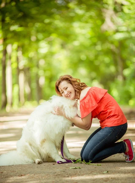 Женщина с самоедами породы собак в парке — стоковое фото