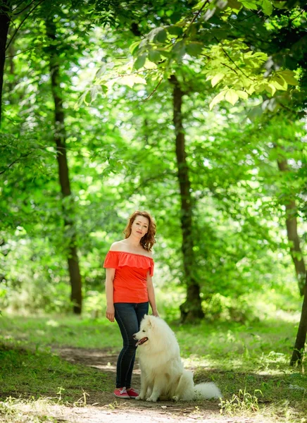 Γυναίκα που περπατά με Samoyed σκύλο στο πάρκο — Φωτογραφία Αρχείου