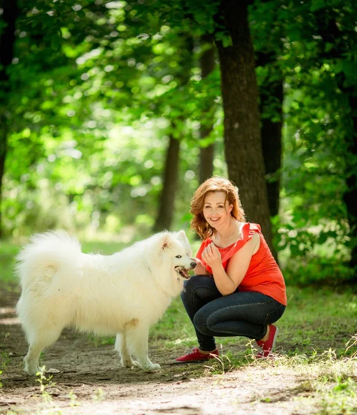 Kobieta z samojeda psa rasy w parku — Zdjęcie stockowe