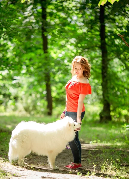Mujer con raza de perro Samoyedo en el parque —  Fotos de Stock